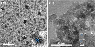 Electrochemical Biosensing Interface Based on Carbon Dots-Fe3O4 Nanomaterial for the Determination of Escherichia coli O157:H7